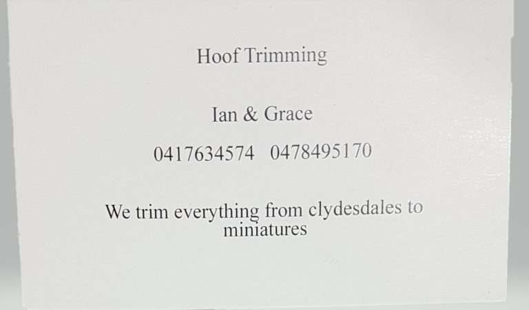 Hoof Trimming 768x451