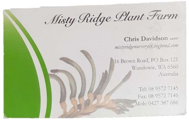 Misty Ridge Plant Farm 768x503